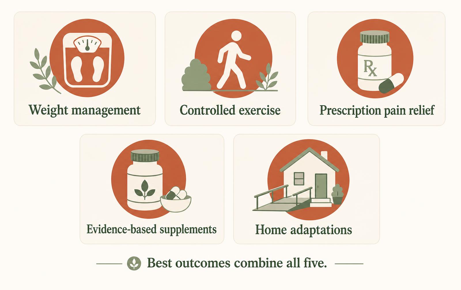 A diagram showing the five main pillars of canine arthritis management: weight management, controlled exercise, prescription pain relief, evidence-based supplements and home adaptations.