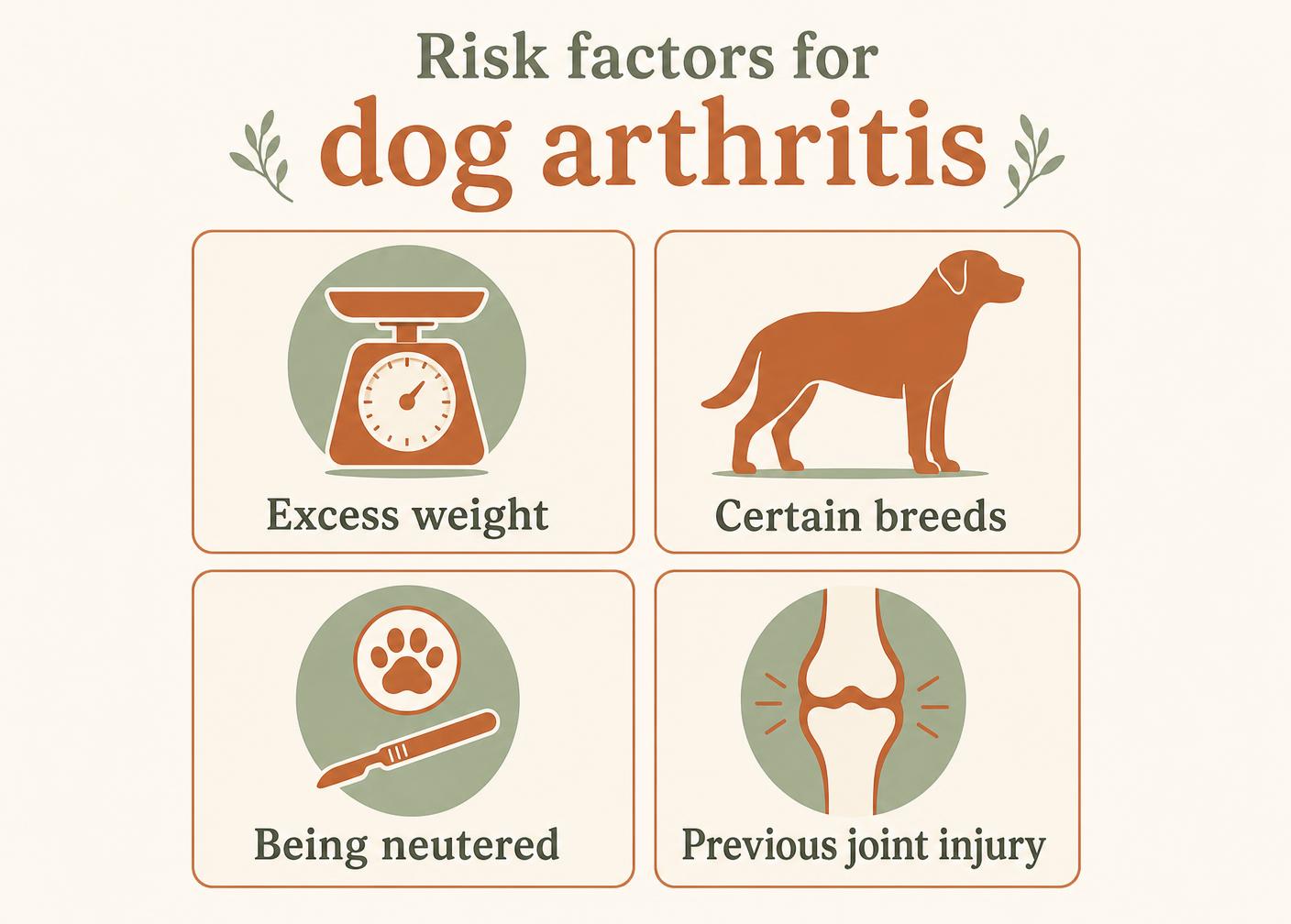 A diagram showing four main risk factors for arthritis in dogs: excess weight, certain breeds, neutering and previous joint injury.