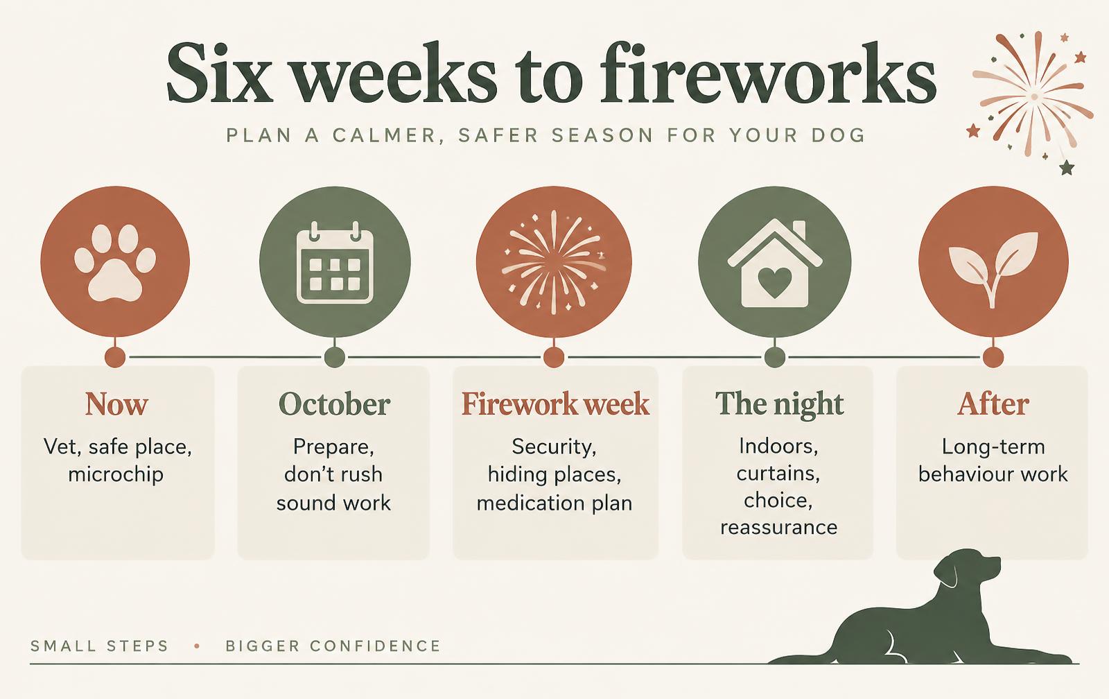 A timeline showing how to prepare a pet for firework season and what to do afterwards.