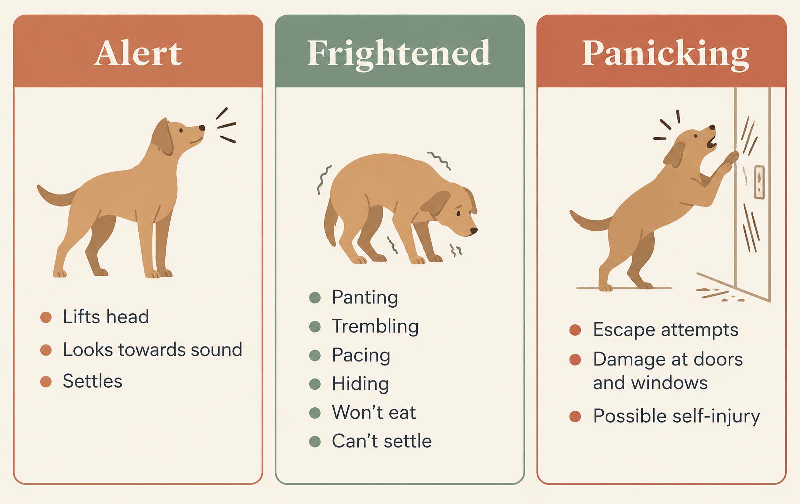 A diagram distinguishing alert, frightened and panicking responses to fireworks.