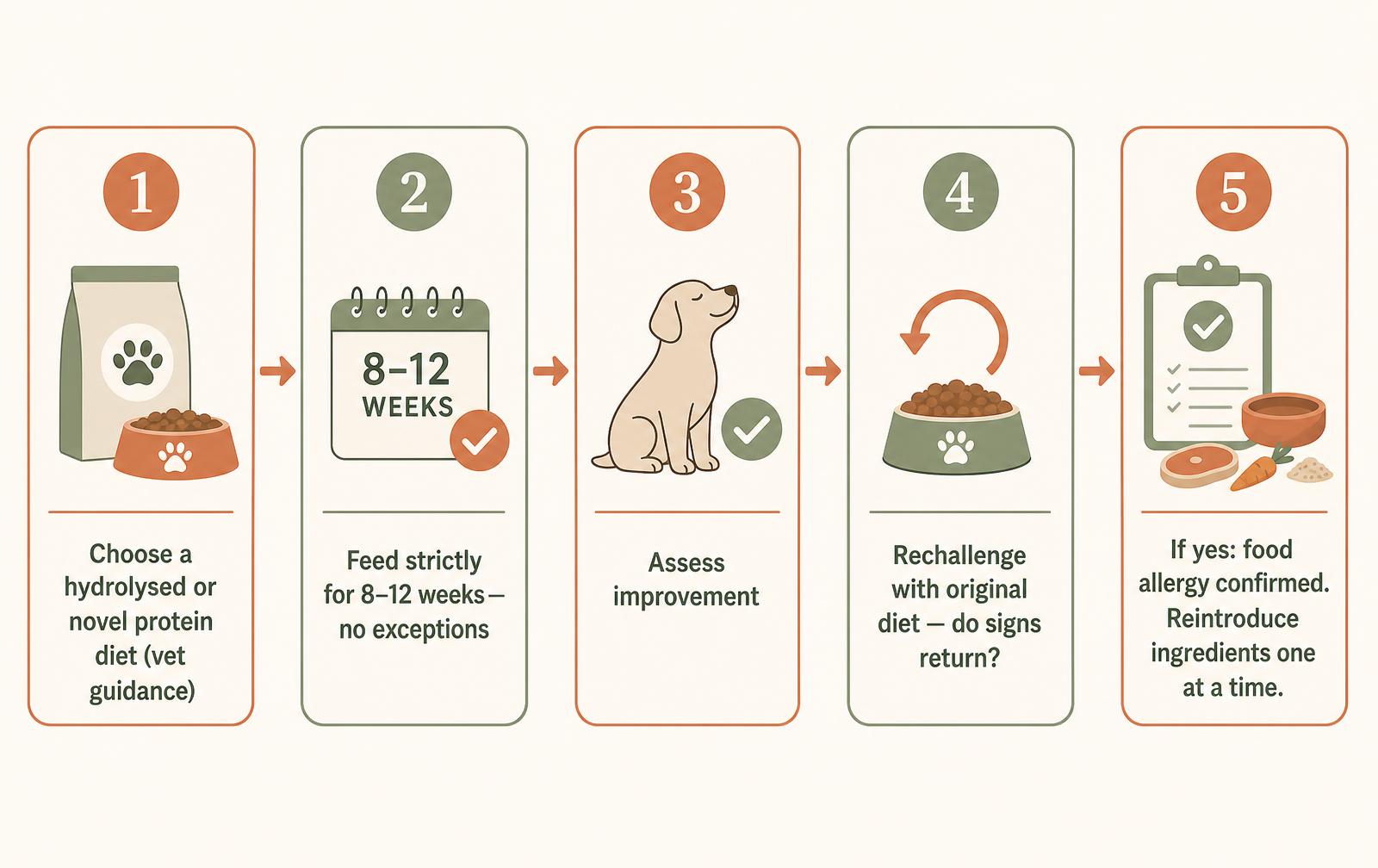 A five-step diagram showing the elimination diet trial process for diagnosing food allergy in dogs and cats.