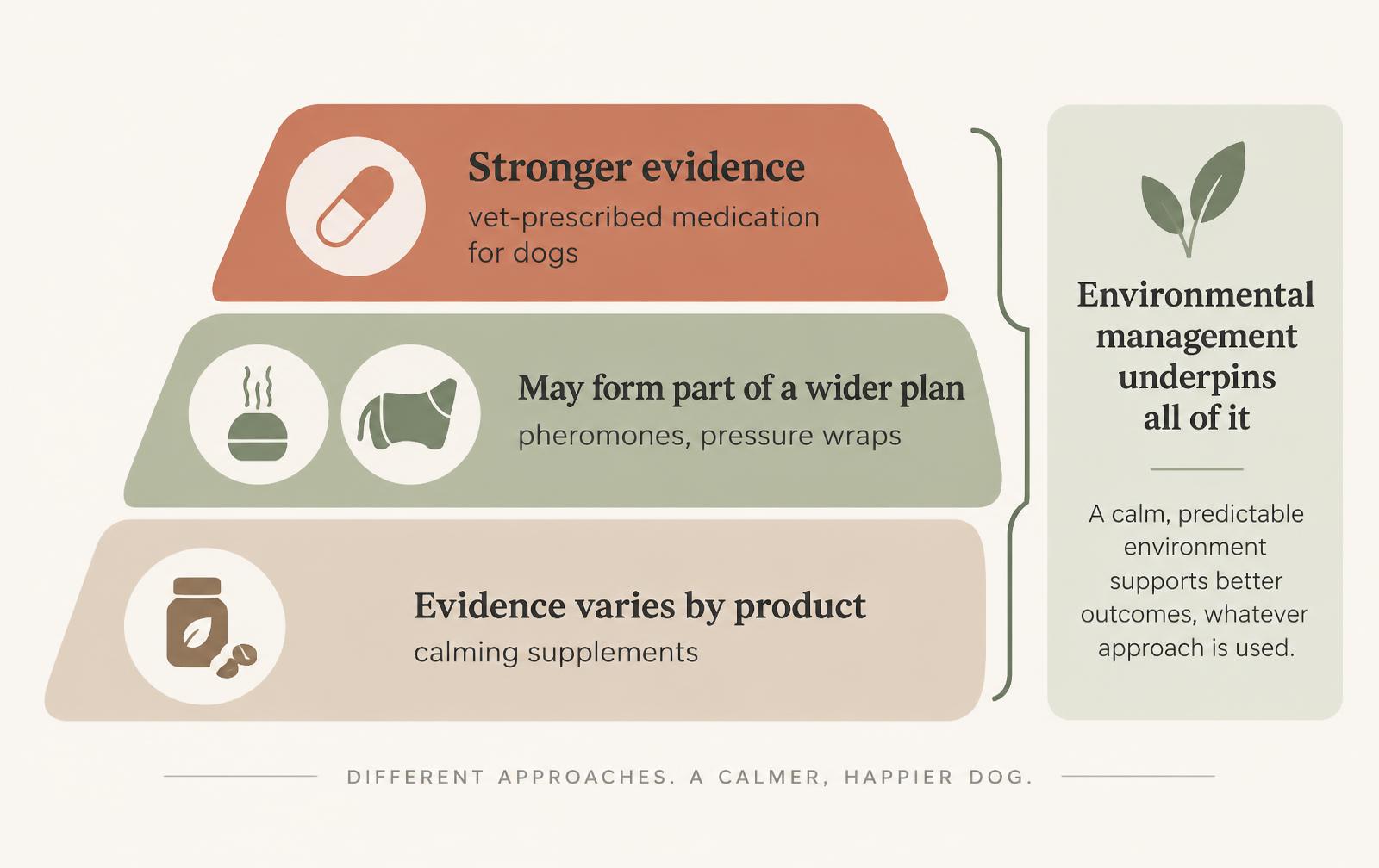 A tiered diagram showing differing levels of evidence for interventions used around firework fear.