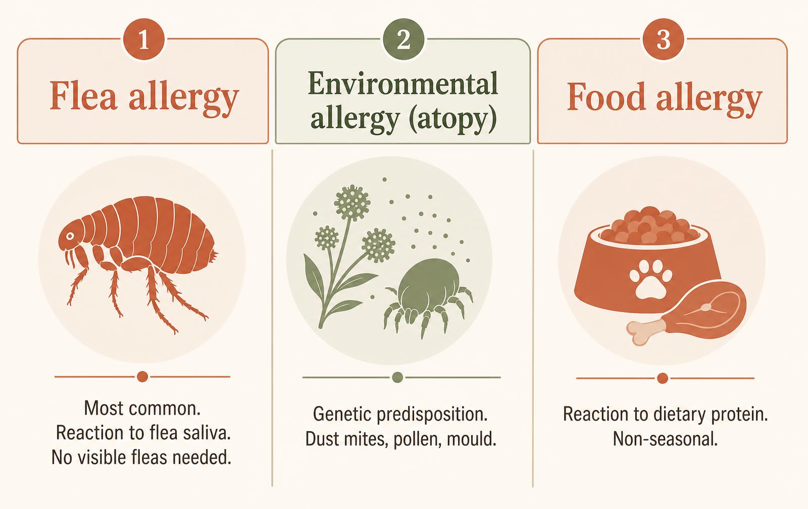 A three-column diagram comparing flea allergy dermatitis, environmental atopic dermatitis and food allergy in dogs and cats.