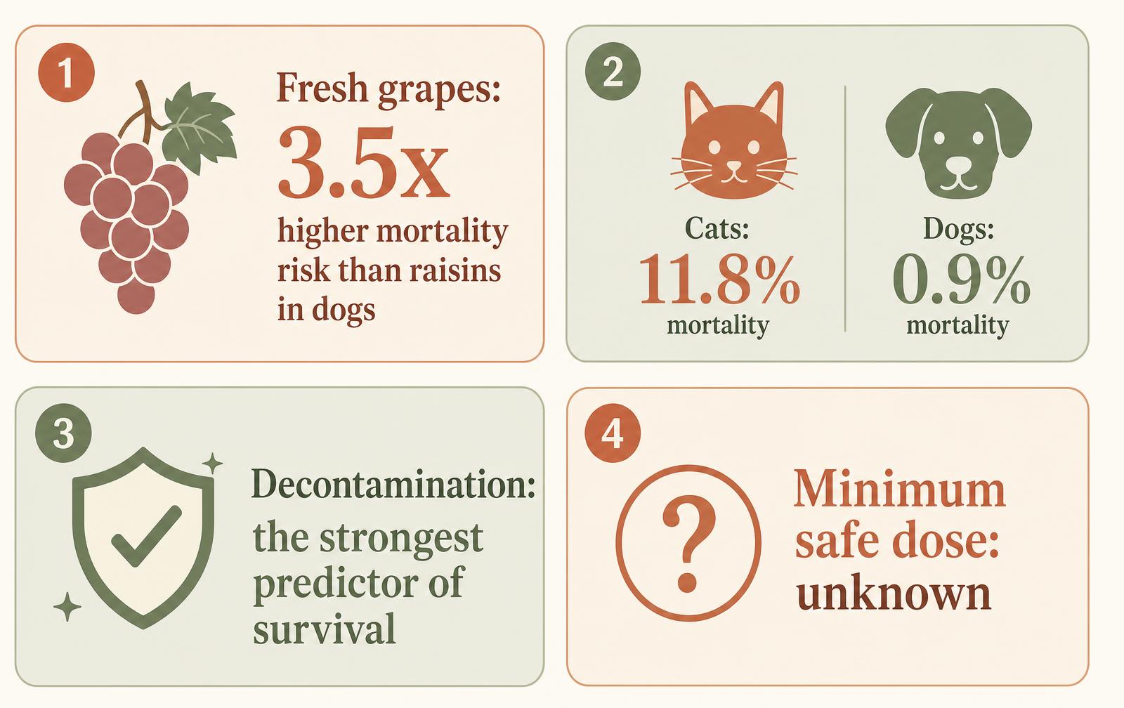 A four-block diagram summarising key findings from the 2026 UK grape toxicity study: higher risk from fresh grapes, higher feline mortality, decontamination as the survival predictor, and no known safe dose.