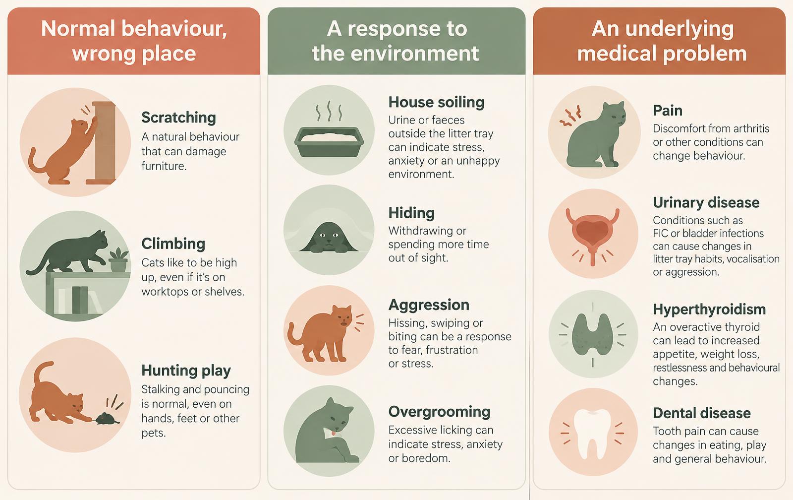A three-column diagram showing the three main explanations for cat behaviour problems: normal behaviour in the wrong place, a response to the environment, or an underlying medical problem.