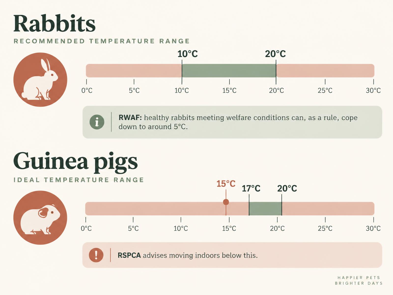 A comparison diagram showing recommended temperatures for rabbits and guinea pigs, including the RSPCA's 15°C indoor recommendation for guinea pigs.